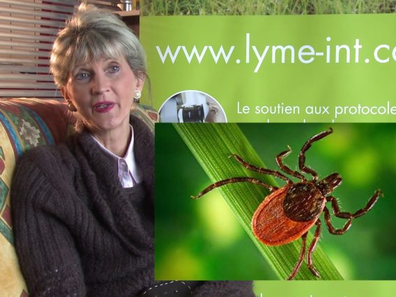 [ID: 12po7e6Mf8s] Youtube Automatic