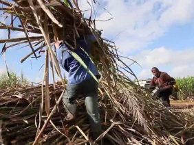 [ID: 5kqUDkCukdo] Youtube Automatic