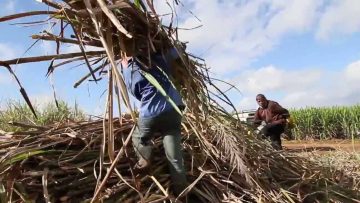 [ID: 5kqUDkCukdo] Youtube Automatic