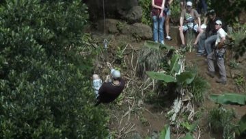 [ID: 6F8g2yZ5LIY] Youtube Automatic