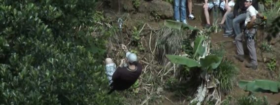 [ID: 6F8g2yZ5LIY] Youtube Automatic