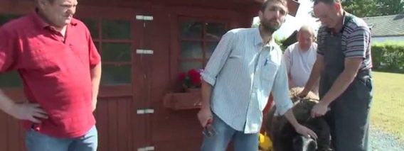 [ID: 6FEjH457PWw] Youtube Automatic