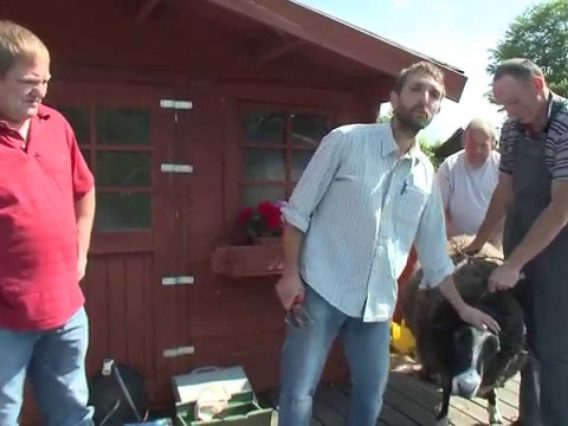 [ID: 6FEjH457PWw] Youtube Automatic