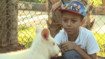 [ID: 6MKWBtfjfVU] Youtube Automatic