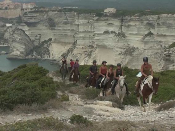 [ID: 8gu6nqwl2Uc] Youtube Automatic