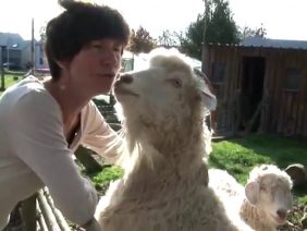 [ID: caqlODscKIU] Youtube Automatic