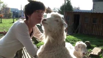 [ID: caqlODscKIU] Youtube Automatic