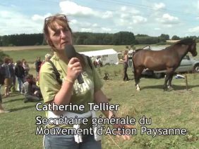 [ID: dcnwZ4LqBh4] Youtube Automatic