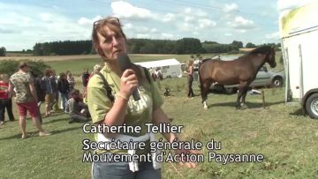 [ID: dcnwZ4LqBh4] Youtube Automatic