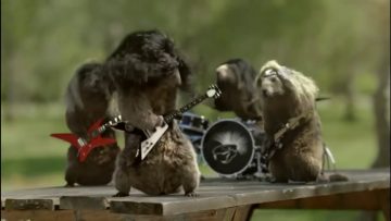 [ID: dzkXg2FqvoU] Youtube Automatic