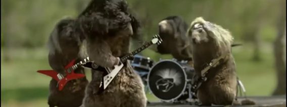 [ID: dzkXg2FqvoU] Youtube Automatic