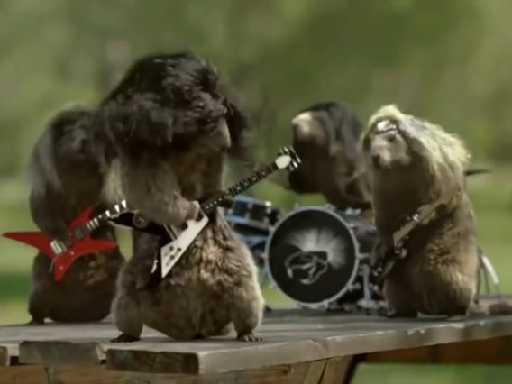 [ID: dzkXg2FqvoU] Youtube Automatic