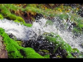 [ID: FsP5xe02VQ8] Youtube Automatic