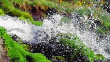 [ID: FsP5xe02VQ8] Youtube Automatic