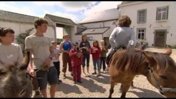 [ID: gmBdlbMm9WA] Youtube Automatic