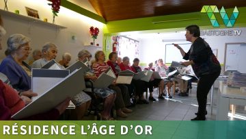 [ID: HJbqsmxP6eg] Youtube Automatic