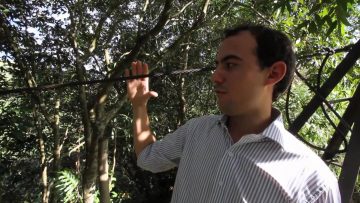 [ID: hNsjWuPaf3c] Youtube Automatic