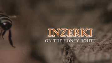 [ID: hVH2zbqbBew] Youtube Automatic