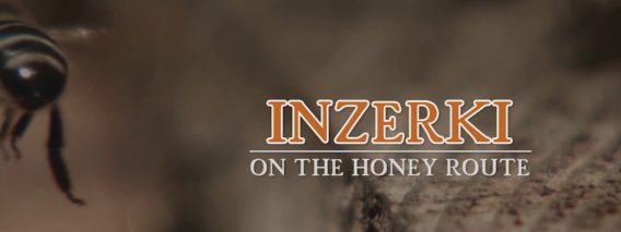 [ID: hVH2zbqbBew] Youtube Automatic