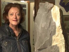 [ID: -JAdcSu5e2A] Youtube Automatic