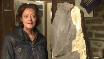 [ID: -JAdcSu5e2A] Youtube Automatic