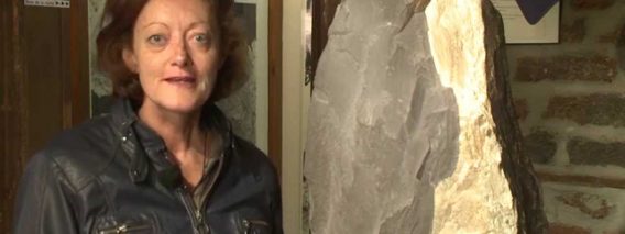 [ID: -JAdcSu5e2A] Youtube Automatic