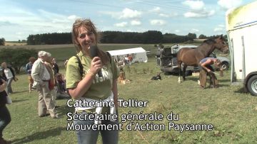 [ID: KcsW2YY3-Ak] Youtube Automatic