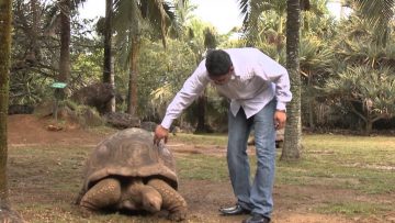 [ID: kdvyufb_T3c] Youtube Automatic