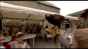 [ID: l51-PZ13f5Y] Youtube Automatic