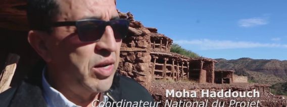 [ID: M0MR65LPGQQ] Youtube Automatic