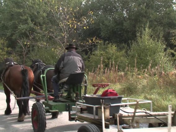 [ID: N7uXOzBpDI4] Youtube Automatic