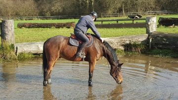 [ID: nLpMfTIx2F0] Youtube Automatic