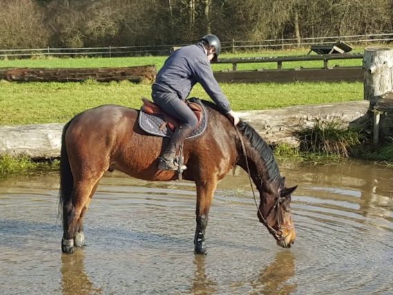 [ID: nLpMfTIx2F0] Youtube Automatic