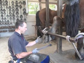 [ID: Qn59wx2EXdc] Youtube Automatic