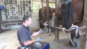 [ID: Qn59wx2EXdc] Youtube Automatic