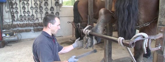 [ID: Qn59wx2EXdc] Youtube Automatic