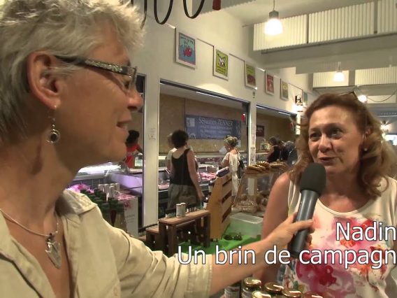 [ID: QQOtHj4urVs] Youtube Automatic