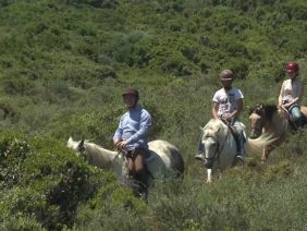 [ID: ul1xXK0vmP4] Youtube Automatic