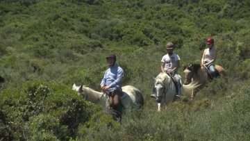 [ID: ul1xXK0vmP4] Youtube Automatic