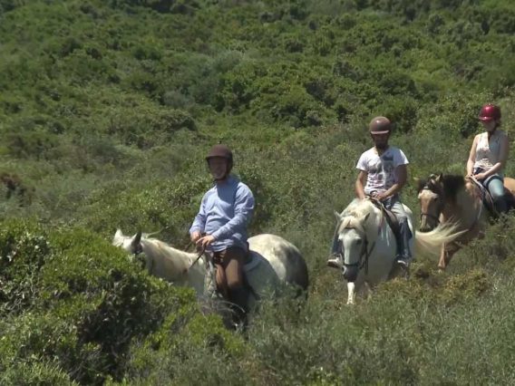 [ID: ul1xXK0vmP4] Youtube Automatic