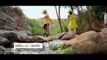 [ID: AxVP7TO4WwI] Youtube Automatic