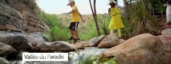 [ID: AxVP7TO4WwI] Youtube Automatic