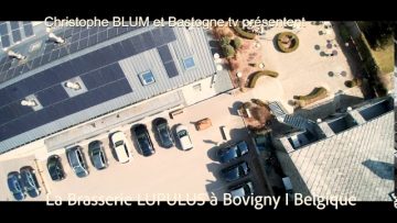 [ID: -dHm9fxwF6I] Youtube Automatic