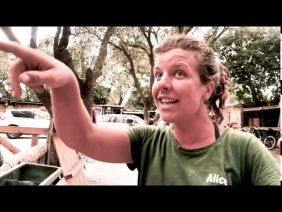 [ID: kF1vXRMiYrM] Youtube Automatic