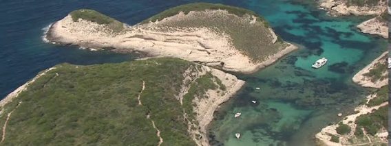 [ID: MmEnNU_mzJI] Youtube Automatic