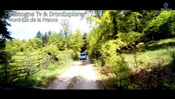 [ID: v_6yZ2humfk] Youtube Automatic