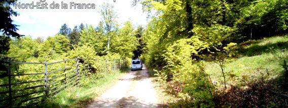 [ID: v_6yZ2humfk] Youtube Automatic