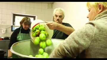 Private: [ID: or7VBwsRCwg] Youtube Automatic