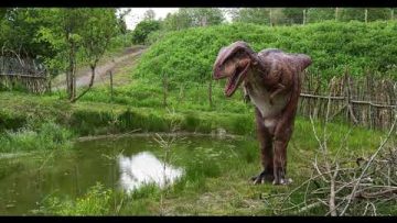 Private: [ID: sM5kORApg9Q] Youtube Automatic