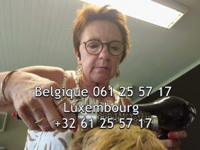 Private: [ID: Bhgg68Bd8Lw] Youtube Automatic